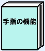 手指の機能